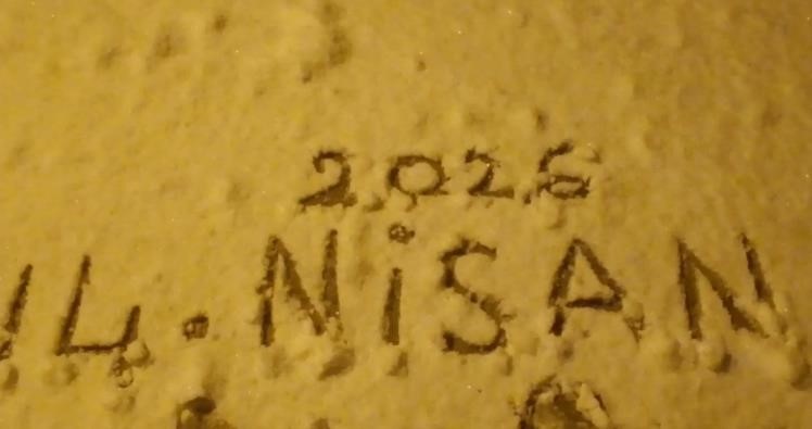 Özalp’ta nisan karı etkili oldu
