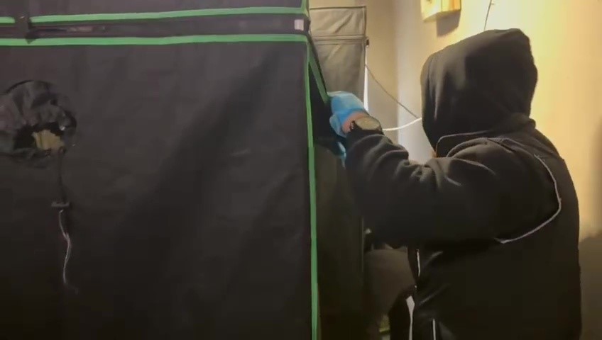 Özel düzenekle uyuşturucu yetiştirilen eve polis baskını
