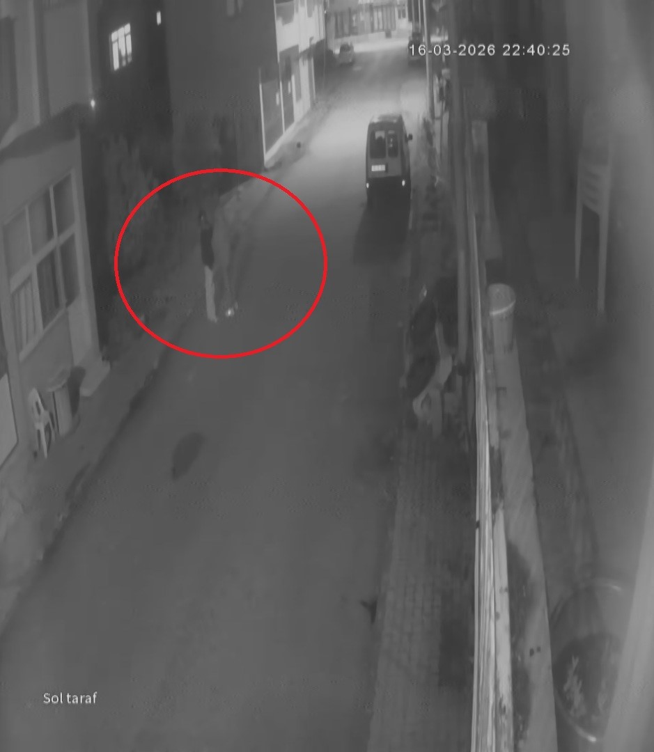 Park halindeki motosikleti çaldılar
