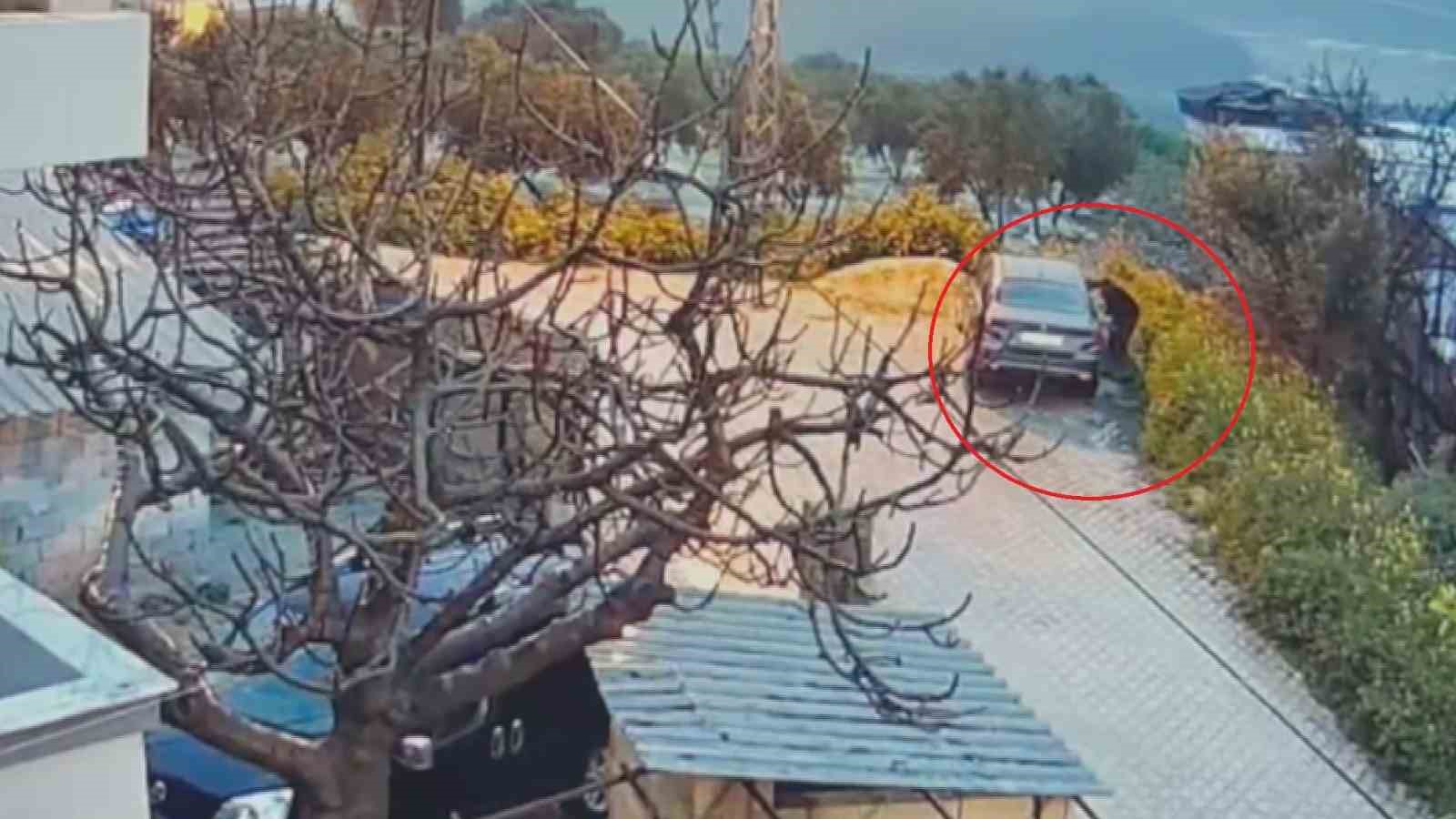 Park halindeki otomobili benzin döküp yakan, araç sahibinin yeğeni çıktı
