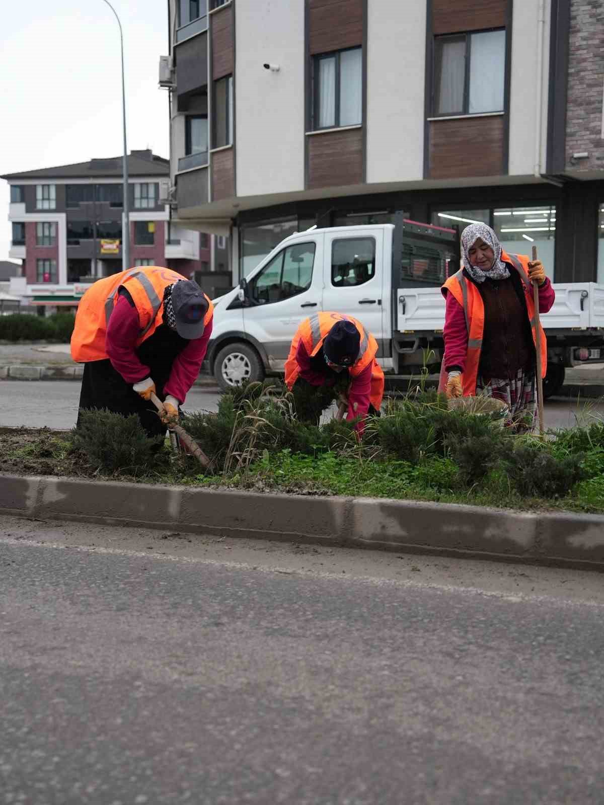 Park ve yeşil alanlarda peyzaj çalışmaları sürüyor
