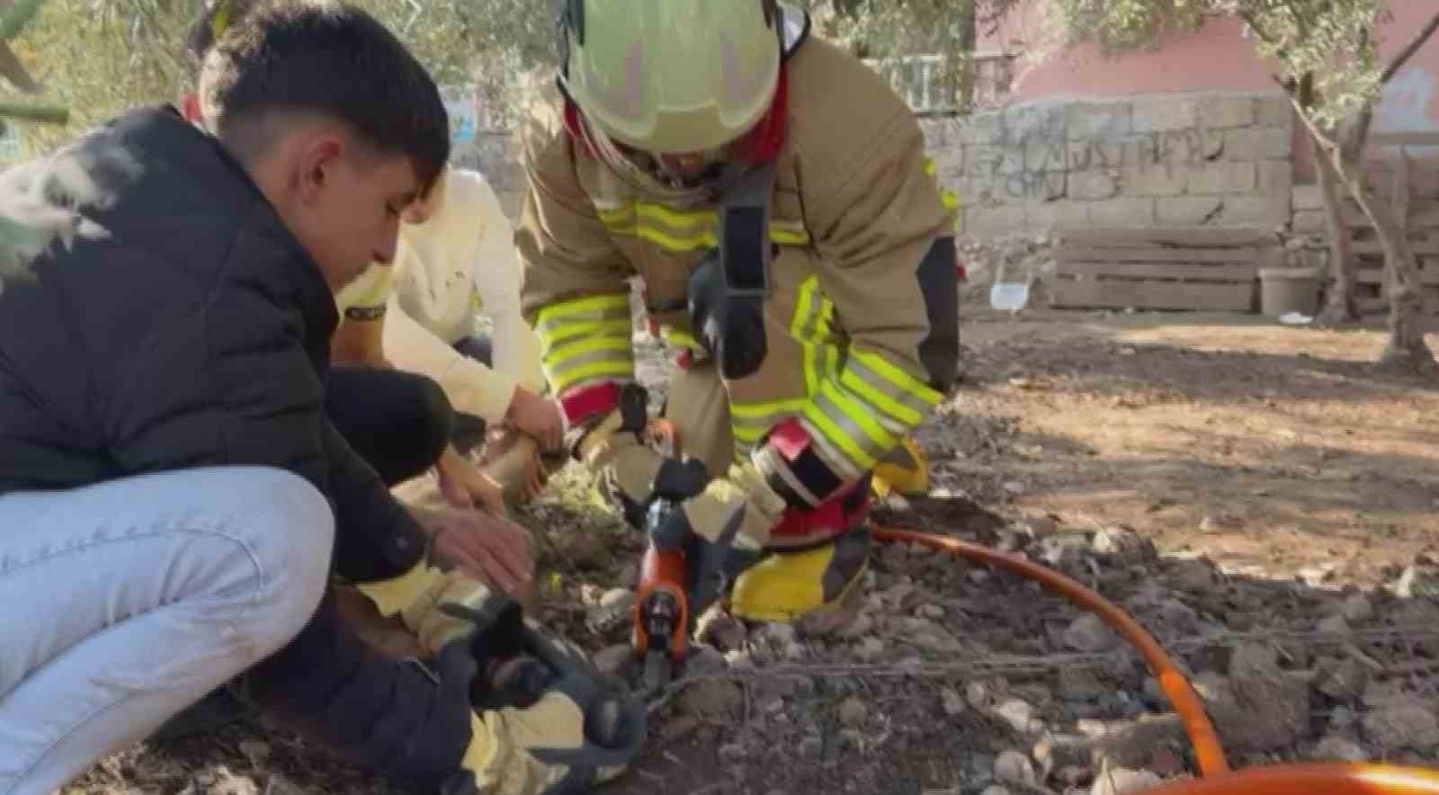 Patisi zincire sıkışan köpeğe hayat kurtaran müdahale
