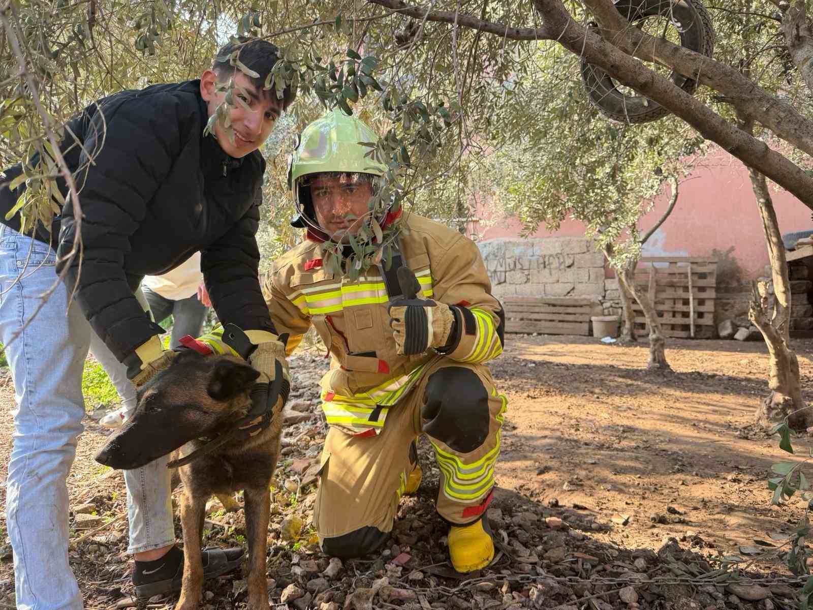 Patisi zincire sıkışan köpeğe hayat kurtaran müdahale
