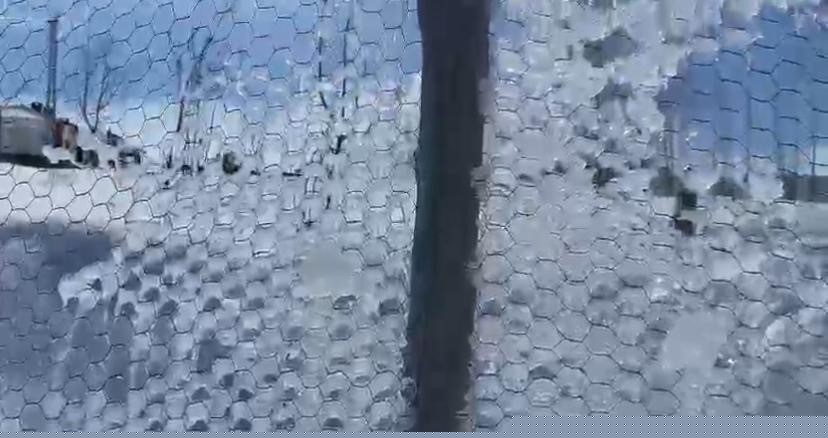 Patnos’ta kar yağışının ardından don etkili oldu
