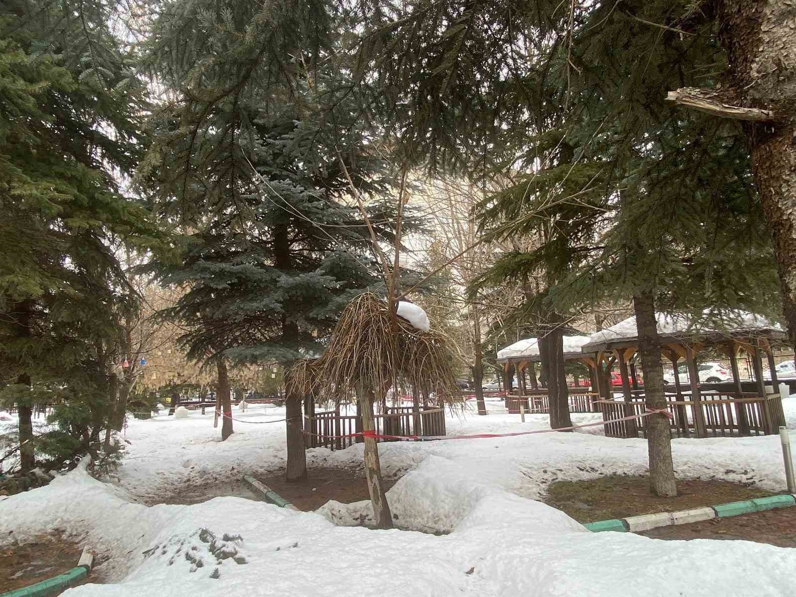 Patnos’ta muhteşem kar yağışı manzarası
