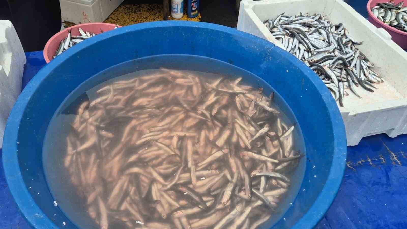 Pazarda hamsinin kilosu 200 liraya çıktı
