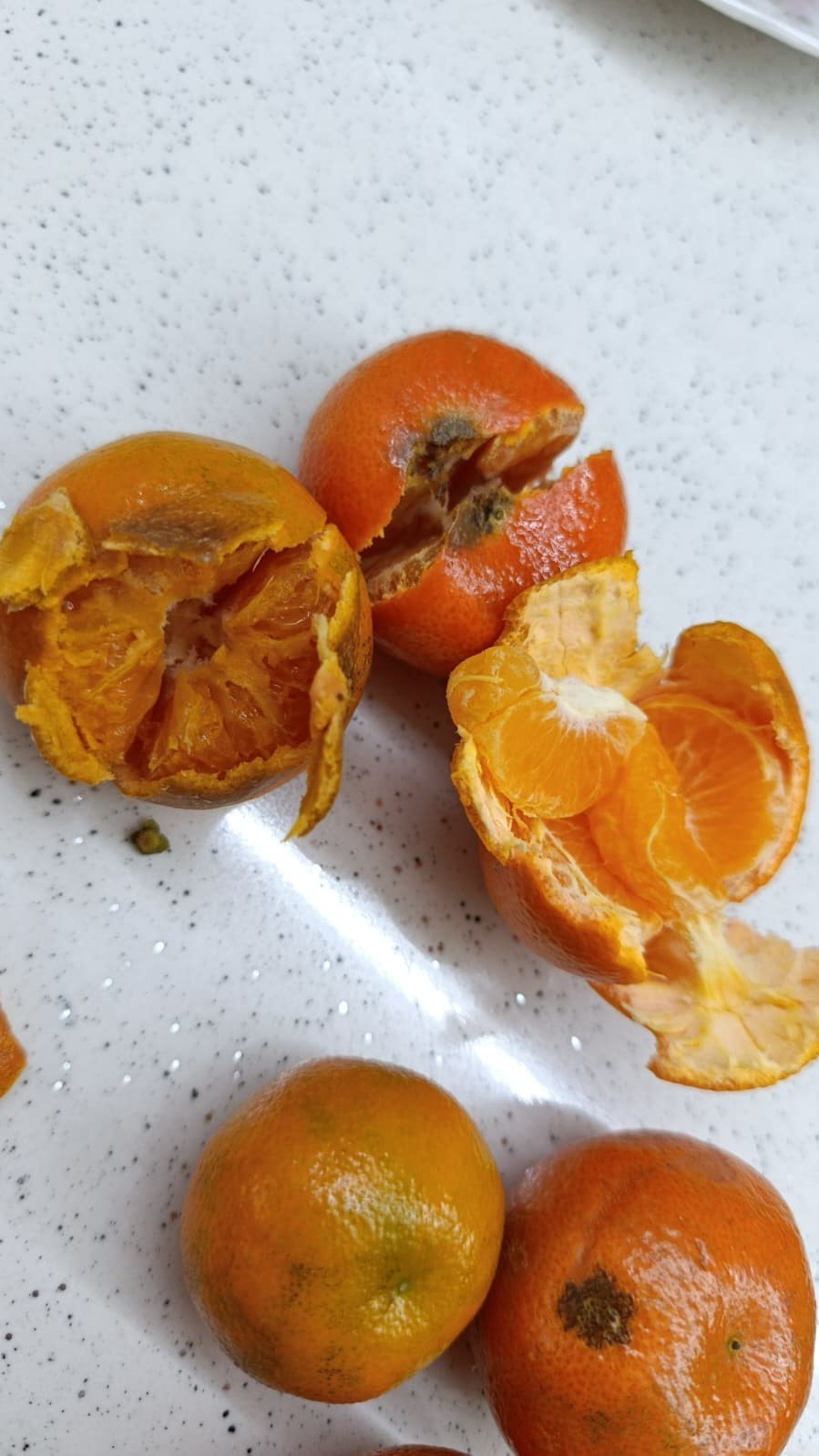 Pazardan aldığı 2 kilo mandalinanın yarısı çürük çıktı
