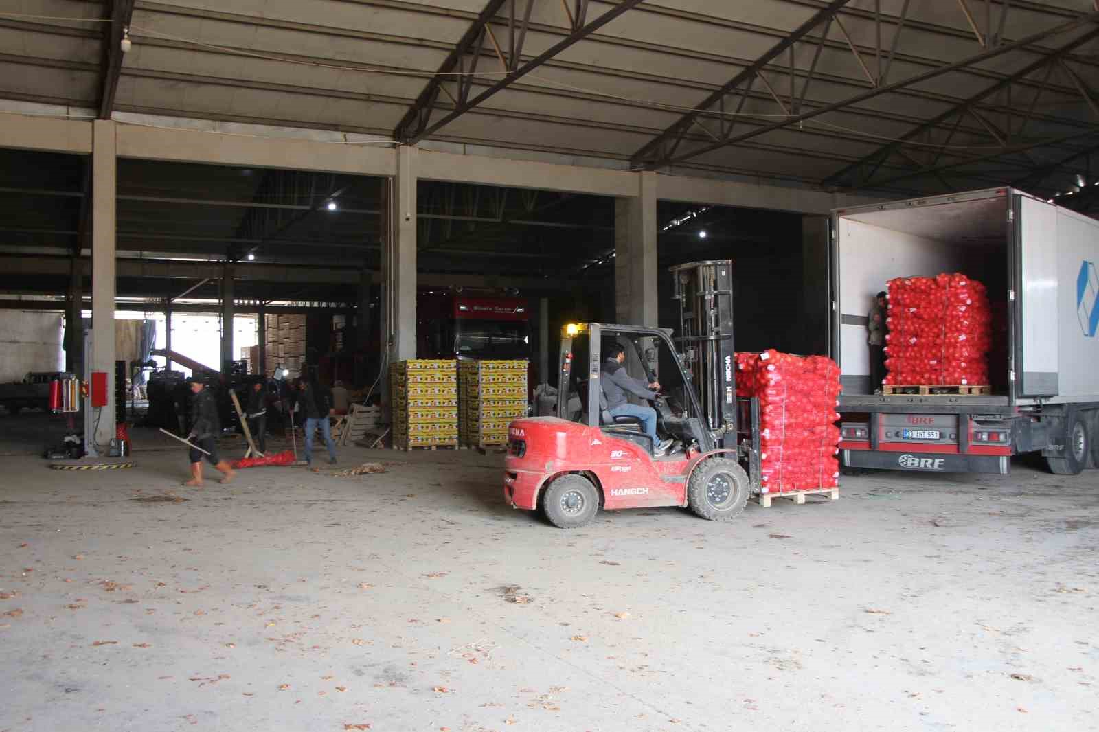 Pazarın en ucuzu soğan Amasya’dan Avrupa’ya gönderiliyor
