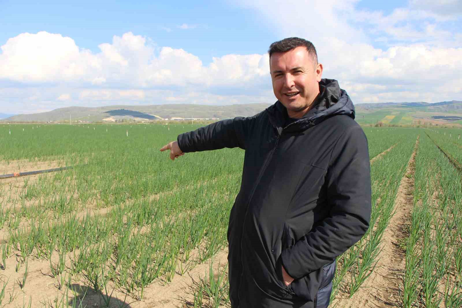 Pazarın en ucuzu soğan Amasya’dan Avrupa’ya gönderiliyor
