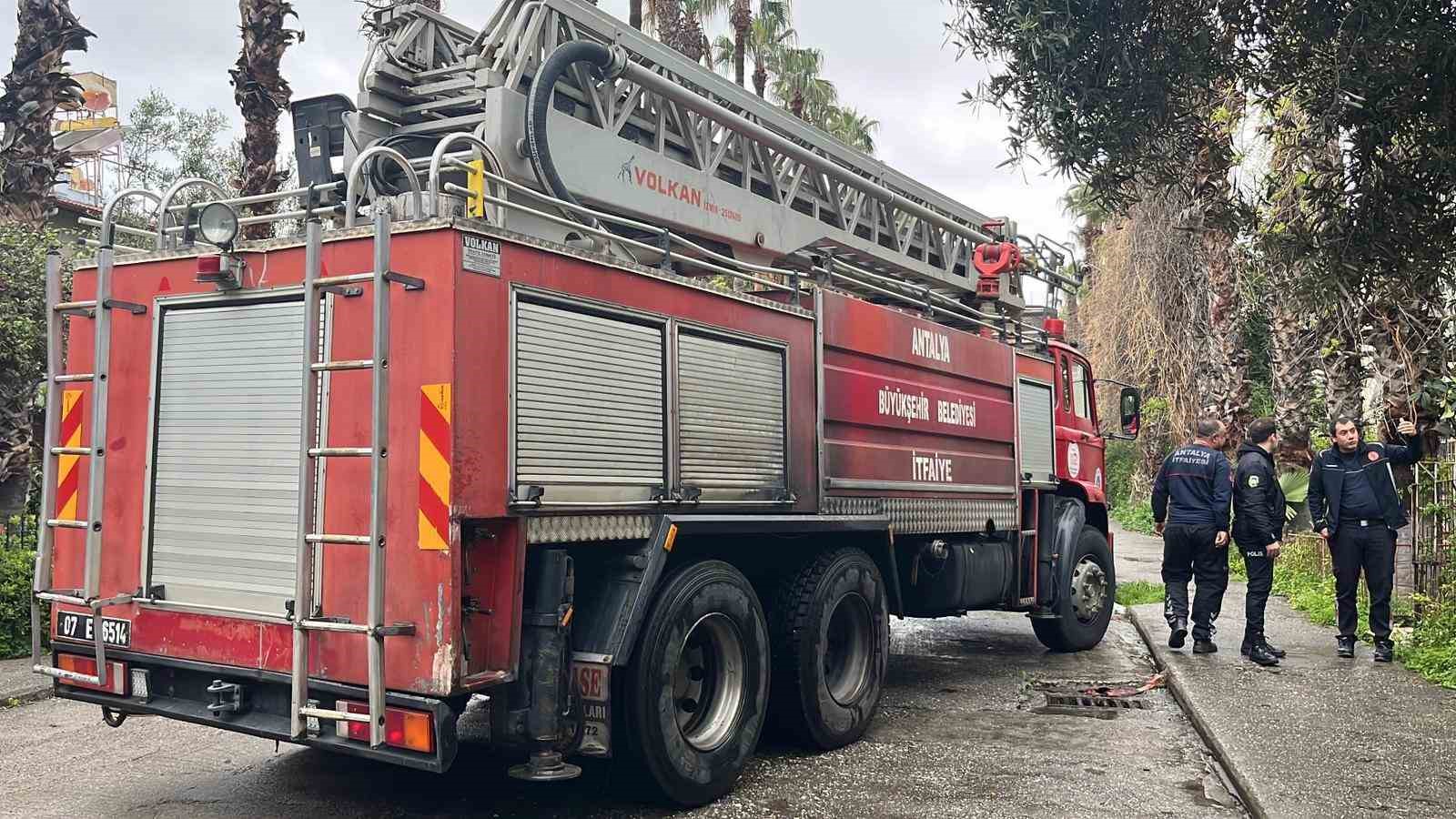 Pencereden bakan ev kedisi itfaiyeyi alarma geçirdi
