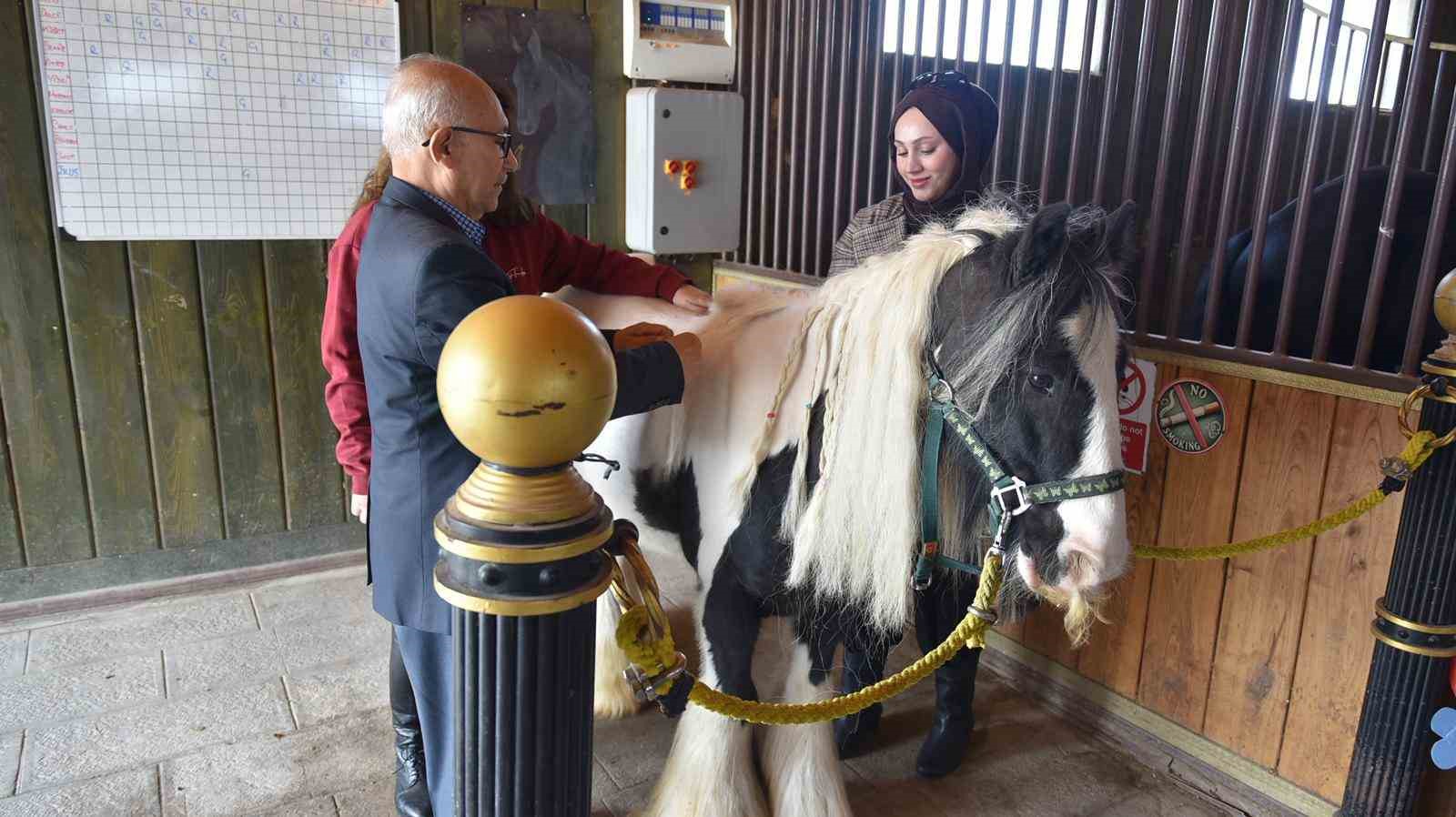 Pendik’te atlarla şifa: Yaşlılar için atla terapi dönemi başladı
