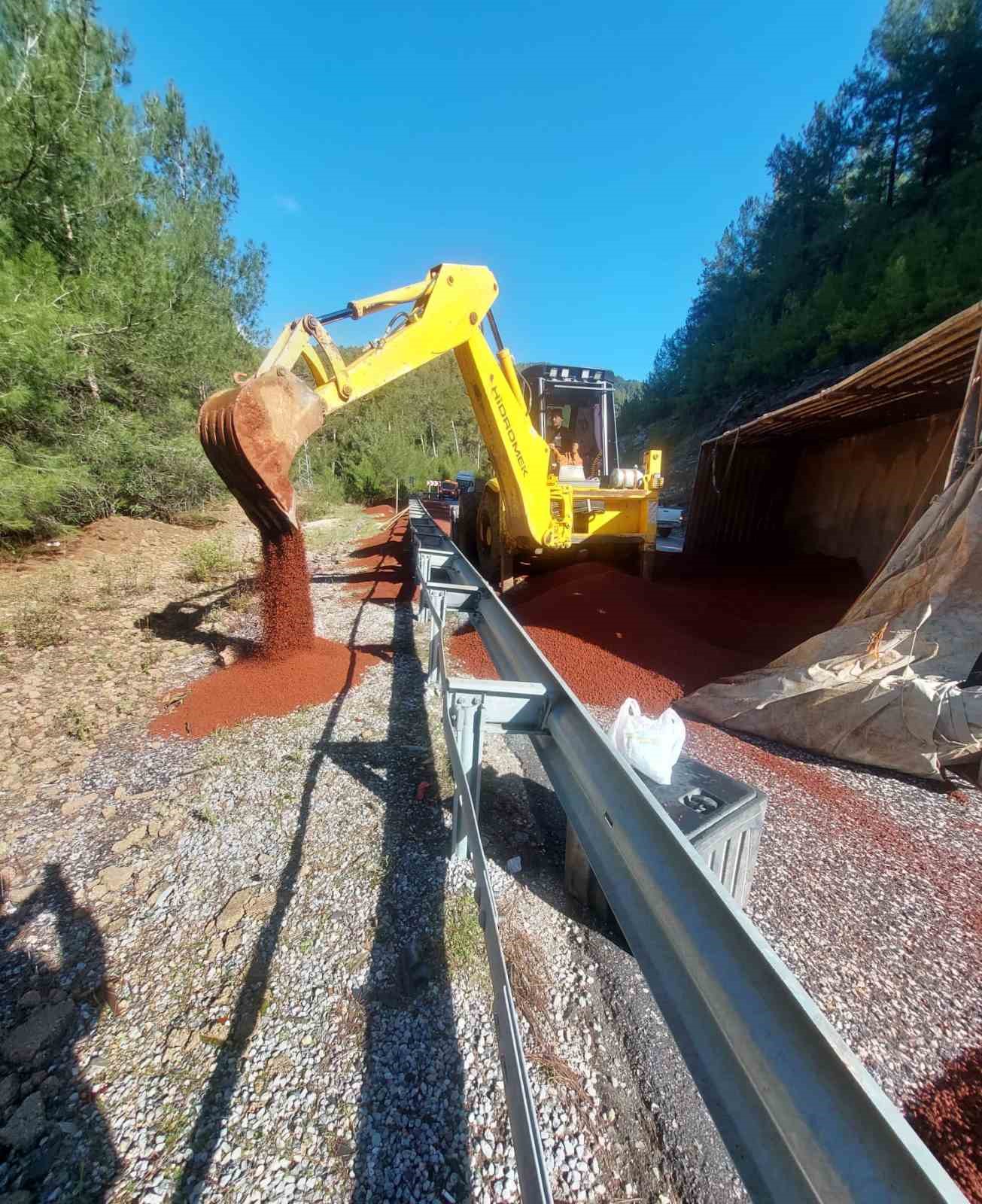 Peyzaj malzemesi yüklü tır devrildi

