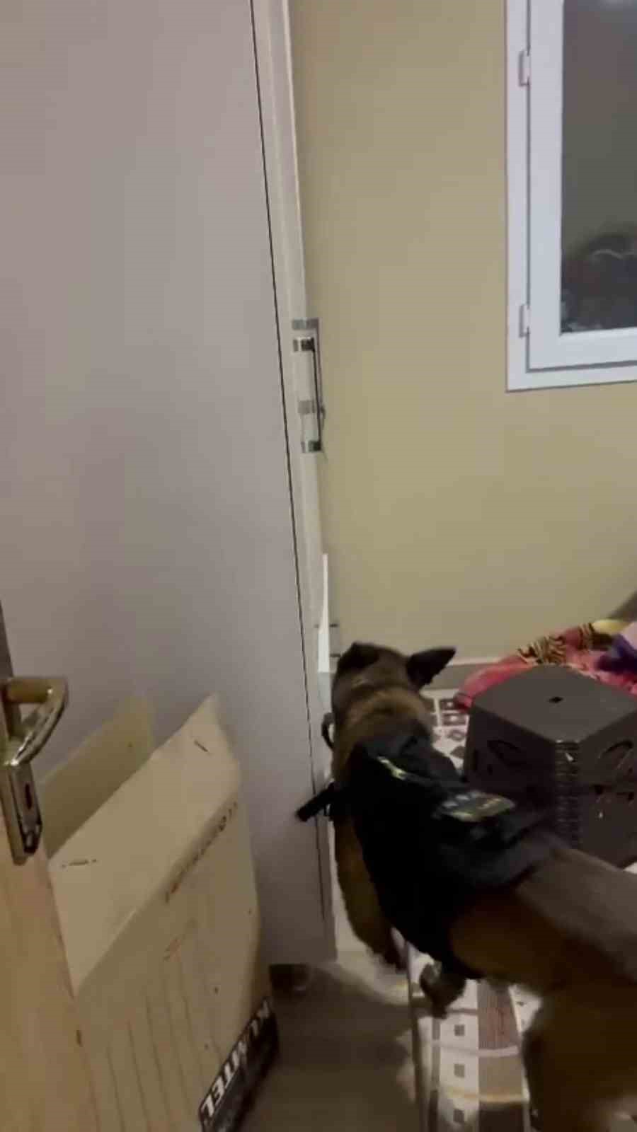 Polis dedektif gibi iz sürdü, 17 yaşındaki Eylül’ü silahla yaralayanın ablası olduğu ortaya çıktı
Polis dedektif gibi iz sürdü, 17 yaşındaki Eylül’ü silahla yaralayanın ablası olduğu ortaya çıktı