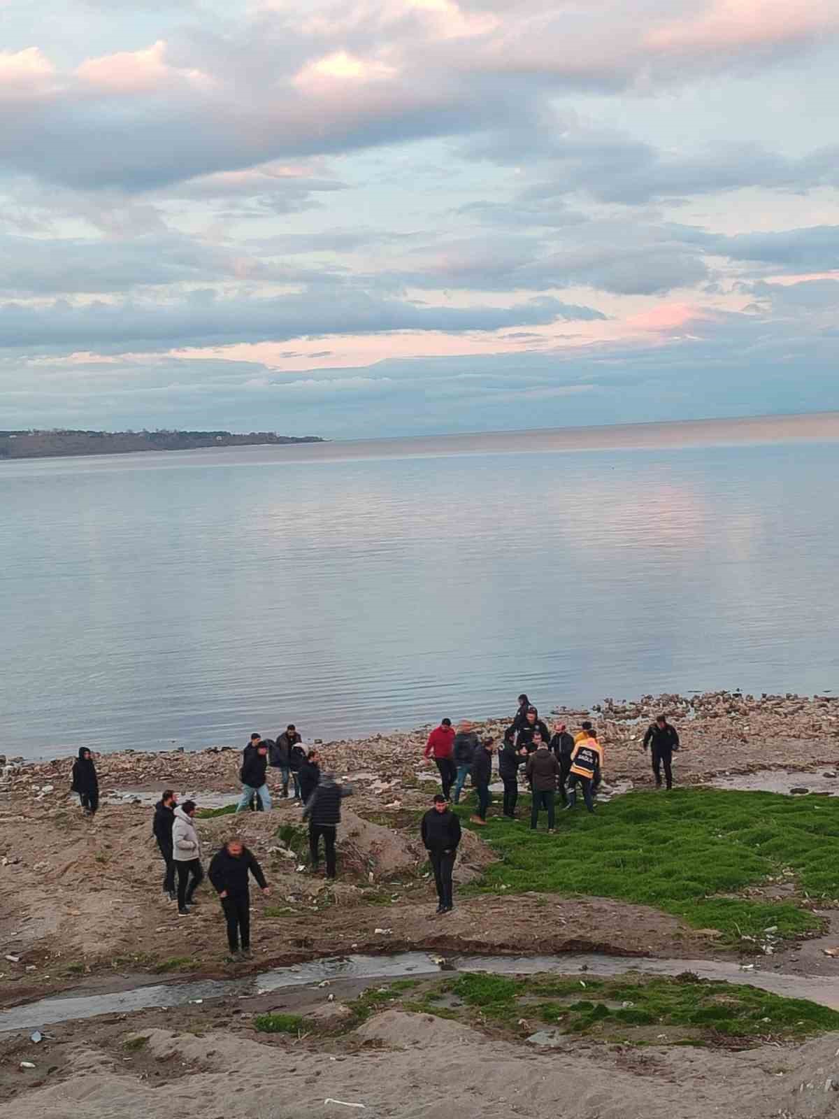 Polisler soğuk havaya aldırış etmeden Van Gölü’ne girip vatandaşı kurtardı
