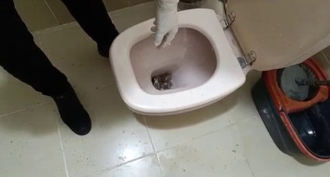 Polisten iki ilçede iki ayrı uyuşturucu operasyonu: 5 gözaltı
