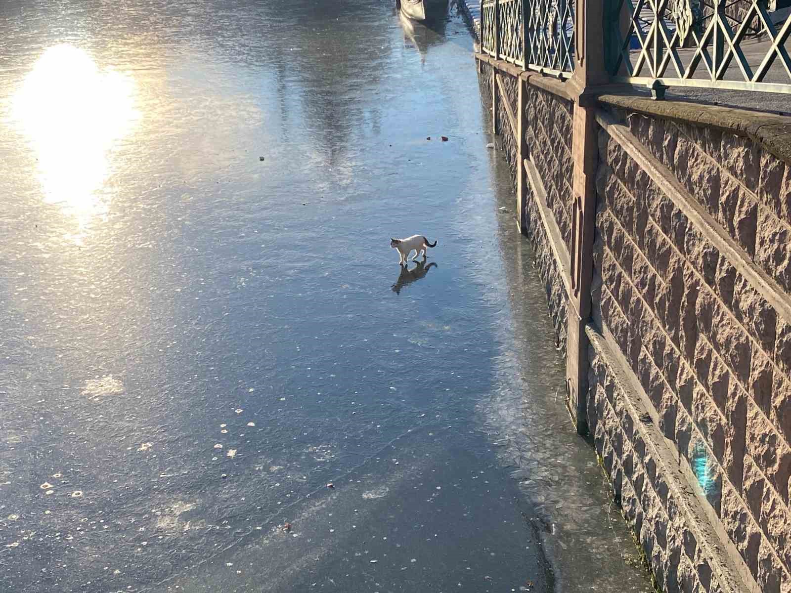 Porsuk Çayı’nın buz tutan yüzeyi çöple kaplanmaya başladı
