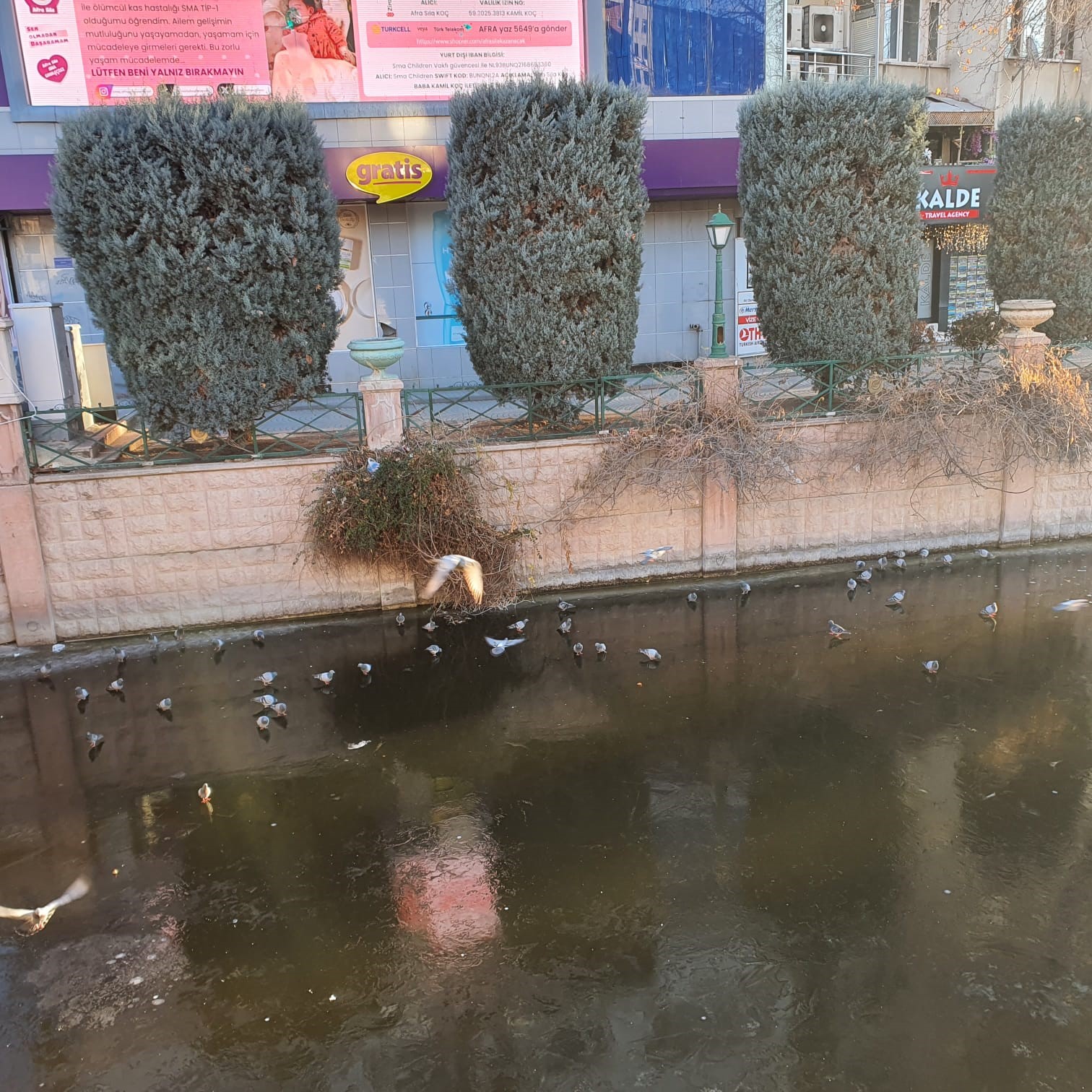 Porsuk’un donduğunun resmidir
