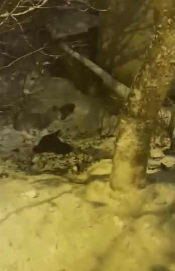 Poşetle kayan gençler hızını alamayarak bahçeye uçtu
