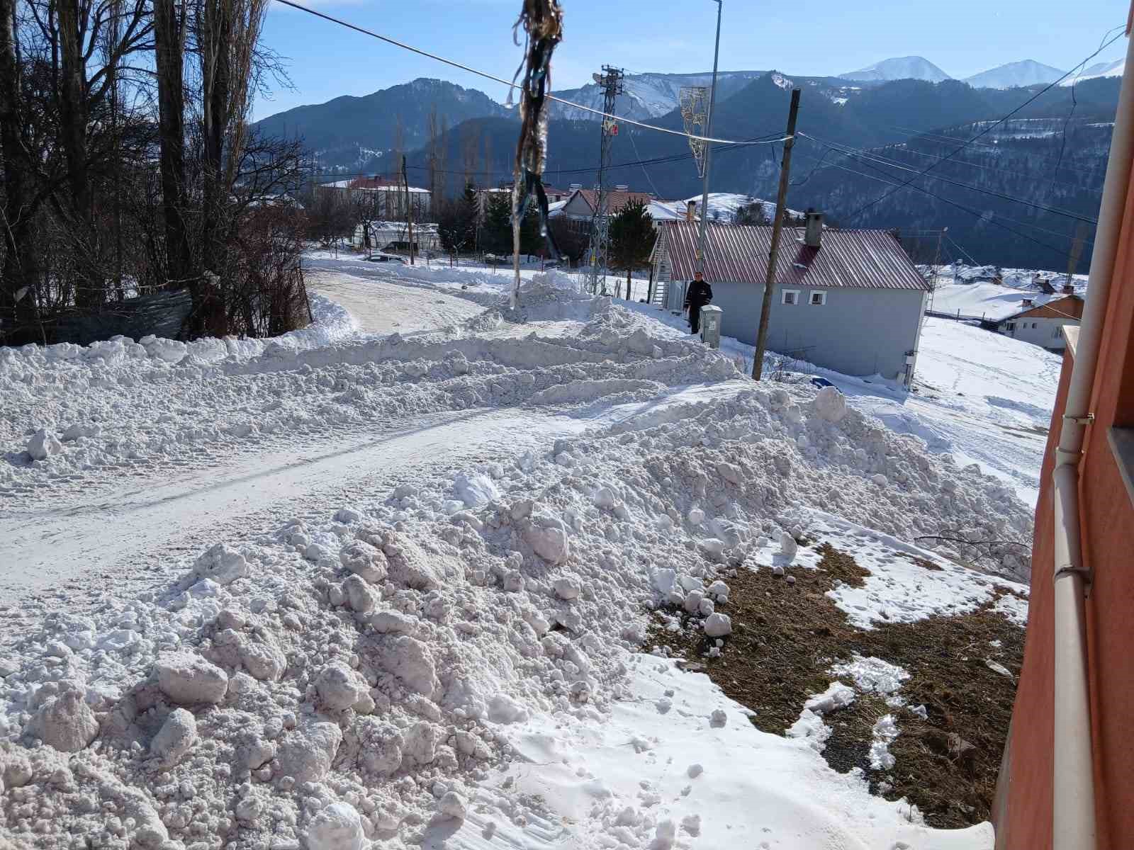 Posof’ta karla mücadele çalışmaları başladı
