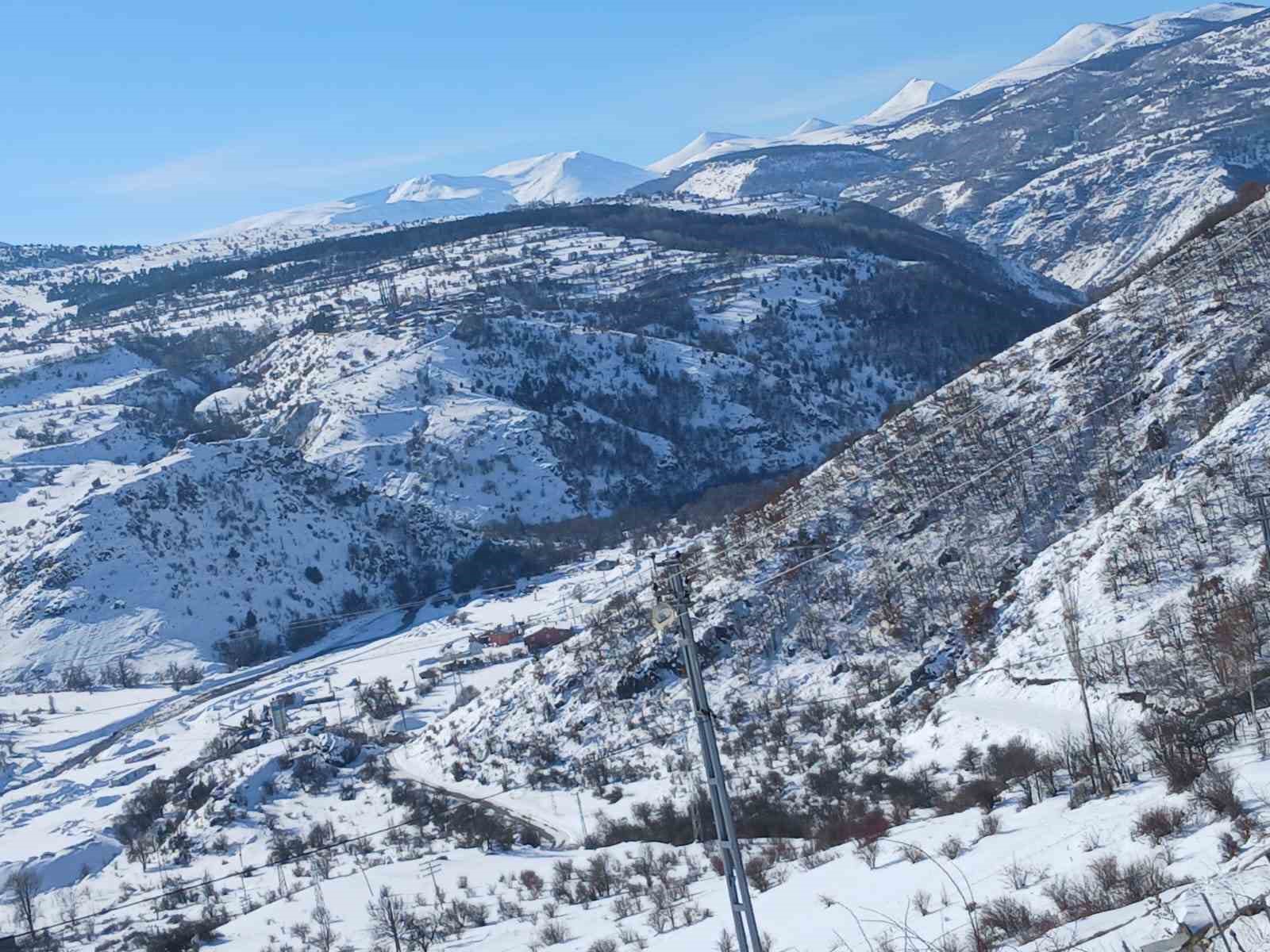 Posof’ta karla mücadele çalışmaları başladı
