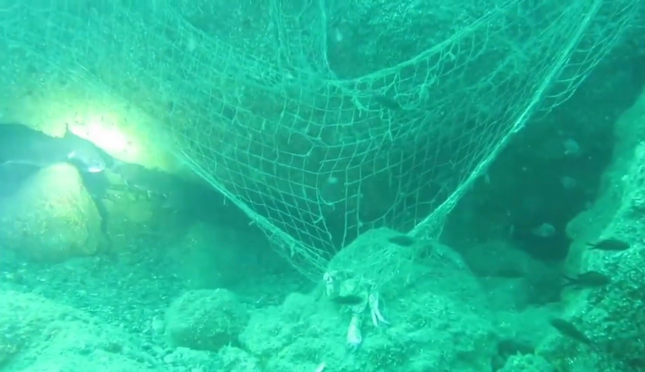 Prof. Dr. Coşkun Erüz: "Karadeniz’in doğal ekosistemini ve biyoçeşitliliğini korumak için hayalet ağları temizlemek gerekli"
