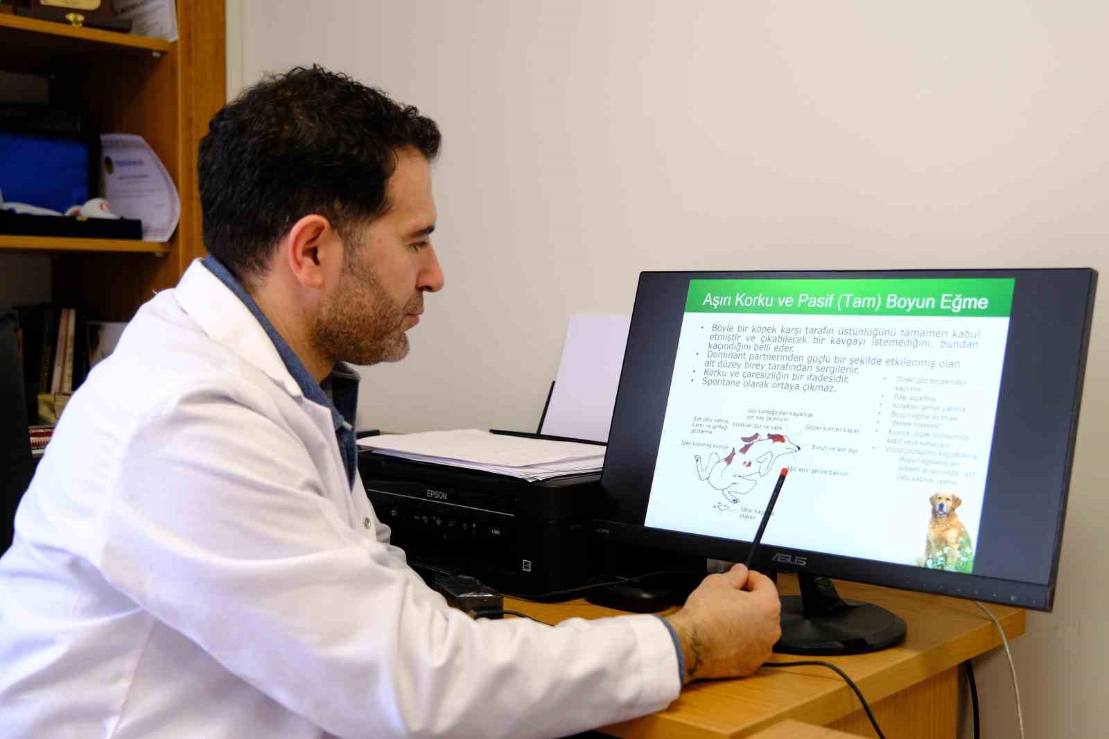 Prof. Dr. Koçkaya: "Sokak hayvanlarına karşı sorumluluklarımız var"
