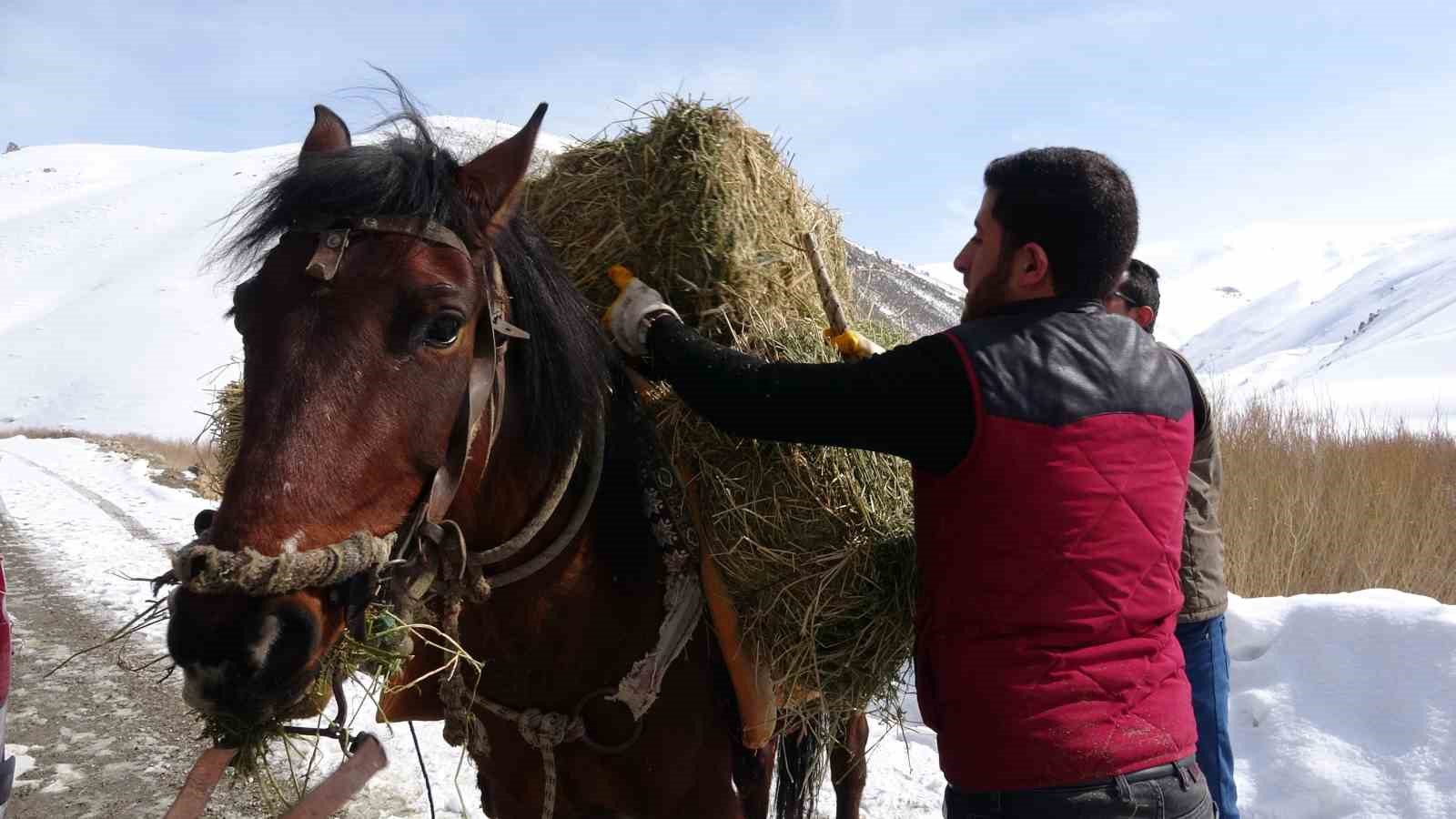 Prof. Dr. Lokman Aslan: "Yaban hayvanlarına yiyecek bırakmak ekolojik dengeyi bozuyor"
