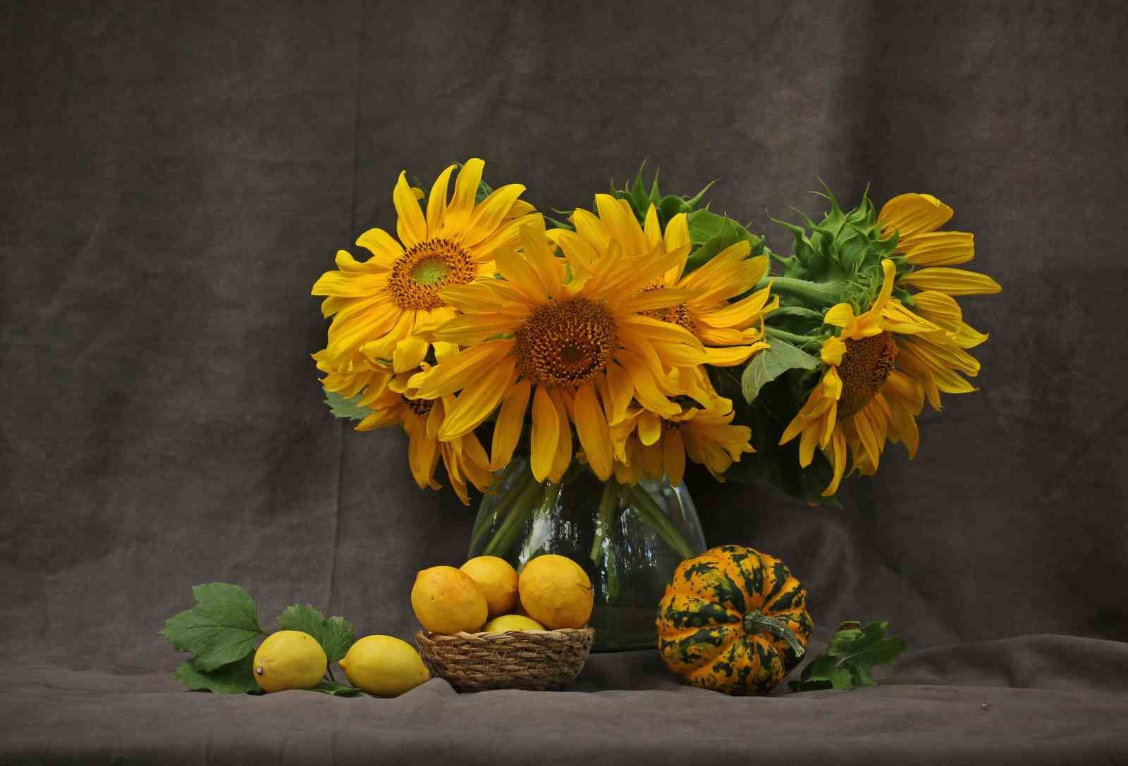 Resim öğretmenlerinden fotoğraf sergisi
Resim öğretmenlerinden fotoğraf sergisi