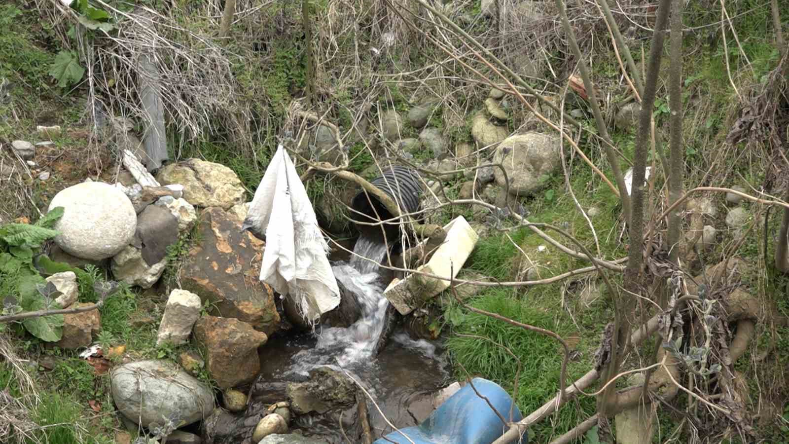 Rize’de vahşi çöp depolama sahası vatandaşları canından bezdirdi
