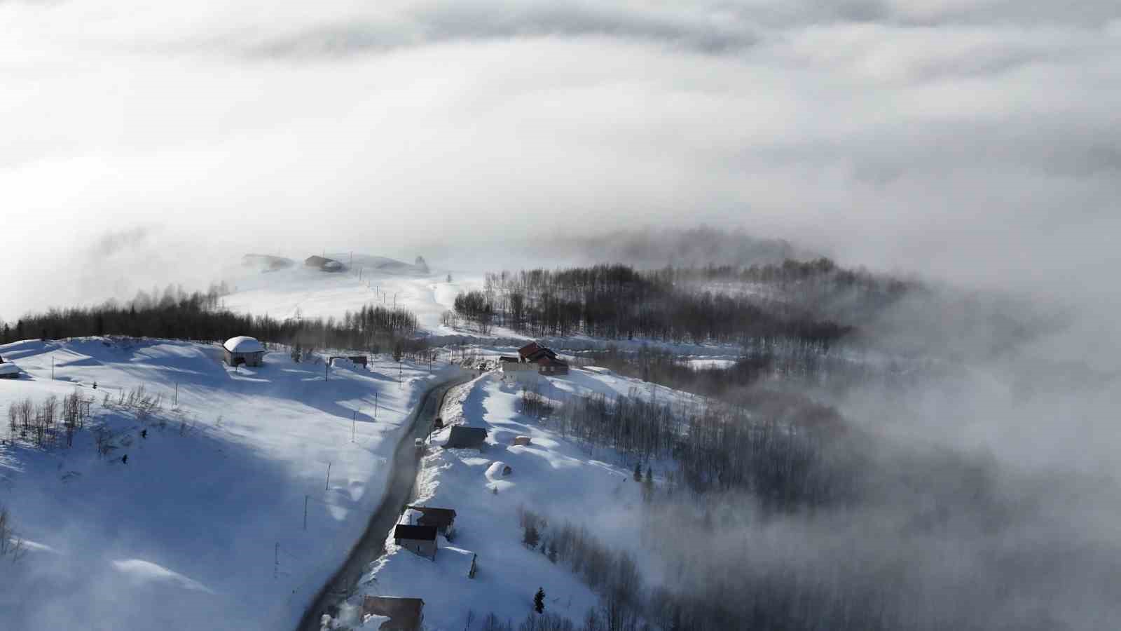 Rize’nin parlayan yıldızı Handüzü Yaylası’nda ince elenip sık dokunuyor
