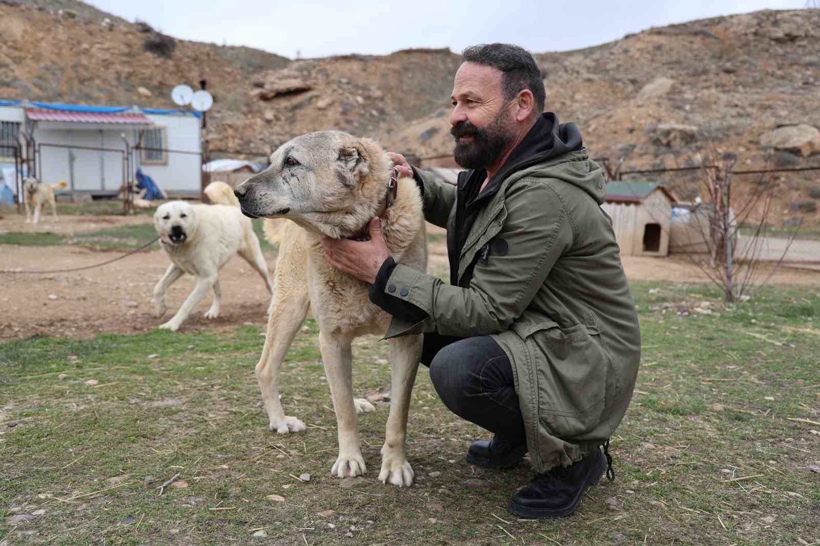 Rus güzele gönlünü kaptıran kangala kadınlardan tepki: "Bizim erkeklerimiz böyledir"
