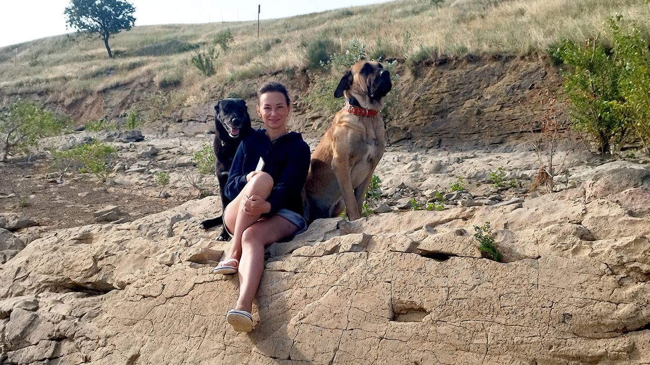 Rus sahipleri, kaybolan köpeklerini sokak sokak arıyor: Canlı bulana 100 bin, ölü bulana 10 bin ödül
Rus sahipleri, kaybolan köpeklerini sokak sokak arıyor: Canlı bulana 100 bin, ölü bulana 10 bin ödül