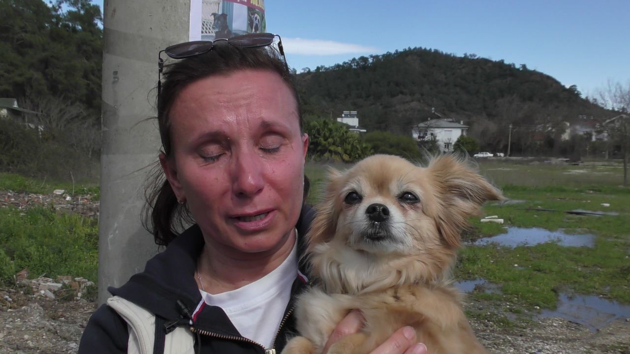 Rus sahipleri, kaybolan köpeklerini sokak sokak arıyor: Canlı bulana 100 bin, ölü bulana 10 bin ödül
Rus sahipleri, kaybolan köpeklerini sokak sokak arıyor: Canlı bulana 100 bin, ölü bulana 10 bin ödül