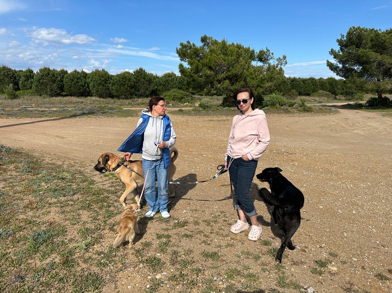 Rus sahipleri, kaybolan köpeklerini sokak sokak arıyor: Canlı bulana 100 bin, ölü bulana 10 bin ödül
Rus sahipleri, kaybolan köpeklerini sokak sokak arıyor: Canlı bulana 100 bin, ölü bulana 10 bin ödül
