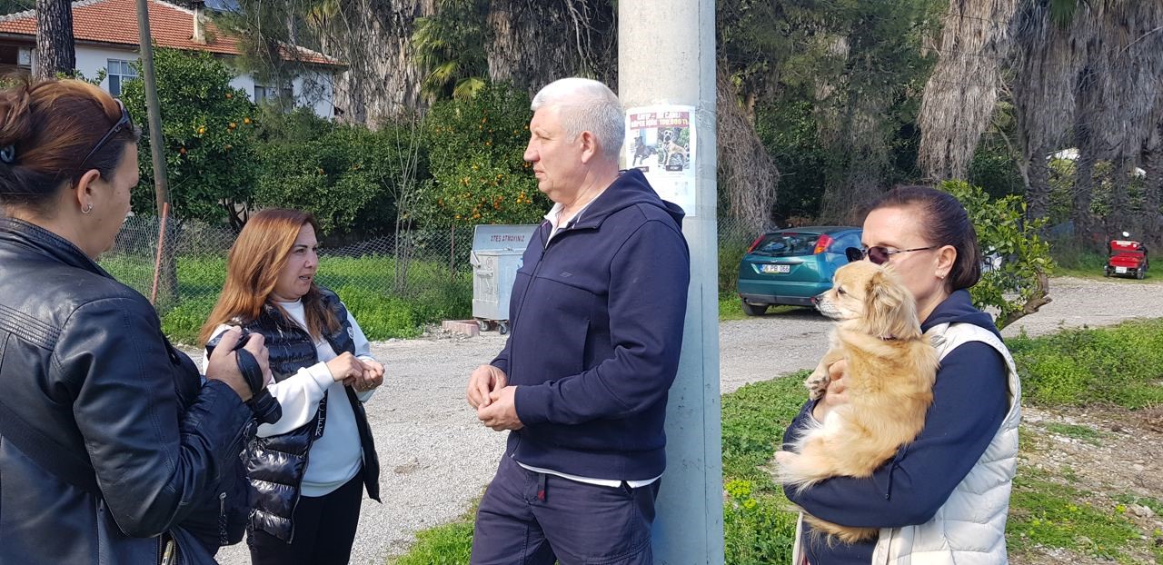 Rus sahipleri, kaybolan köpeklerini sokak sokak arıyor: Canlı bulana 100 bin, ölü bulana 10 bin ödül
Rus sahipleri, kaybolan köpeklerini sokak sokak arıyor: Canlı bulana 100 bin, ölü bulana 10 bin ödül