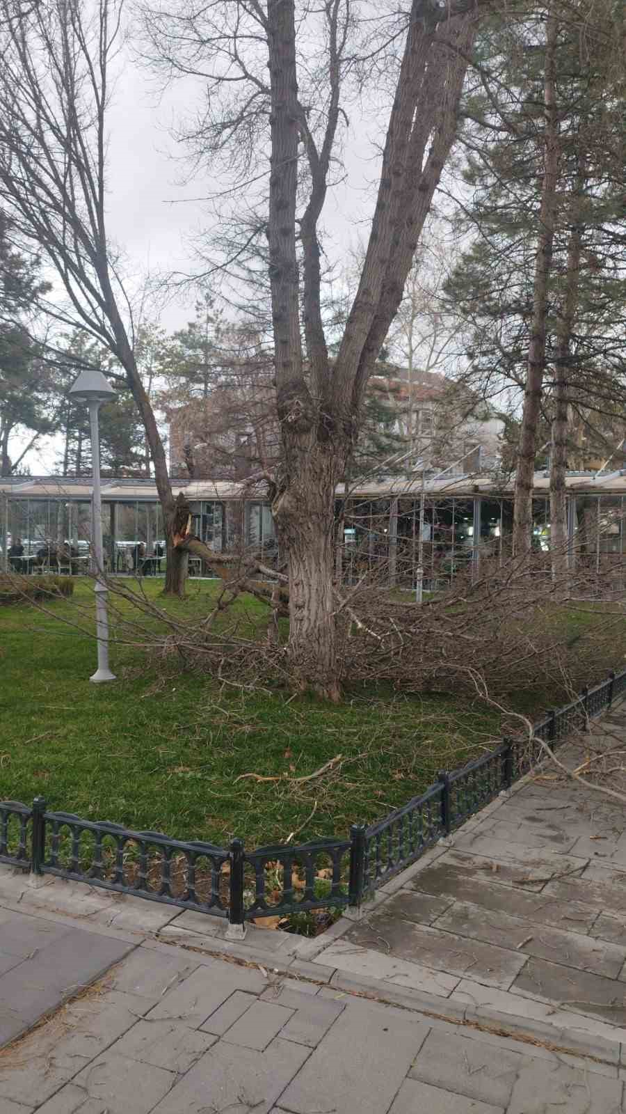 Rüzgardan devrilen ağaçlar temizleniyor
