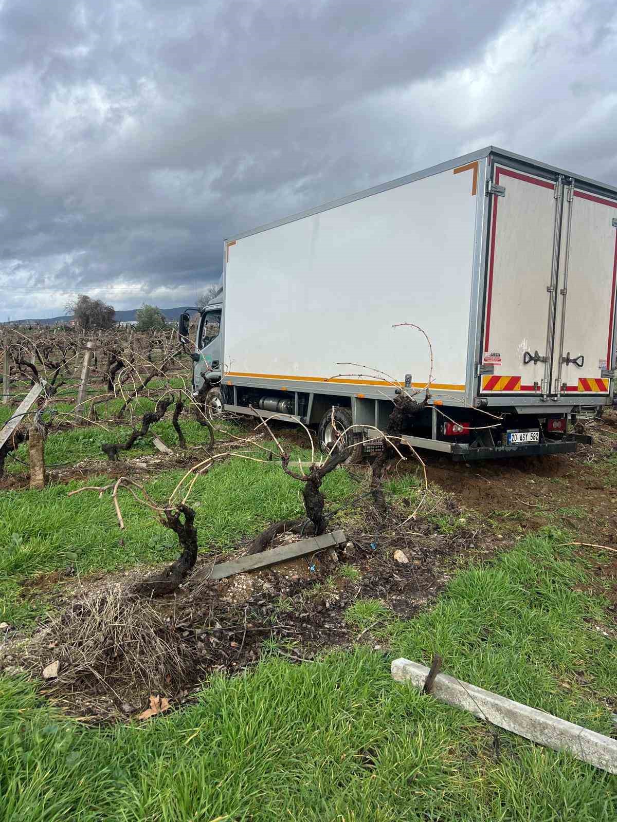 Sabıkalı yolda kamyon üzüm bağına girdi

