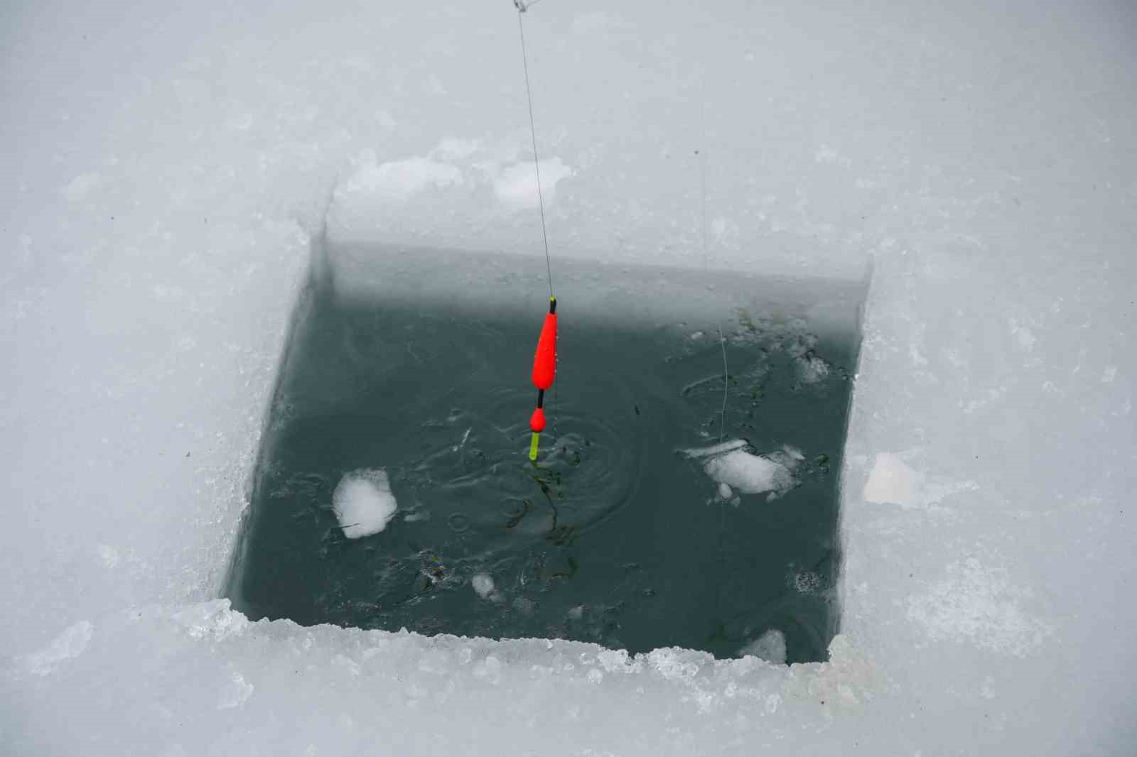 Sadak Baraj Gölü buz tuttu
