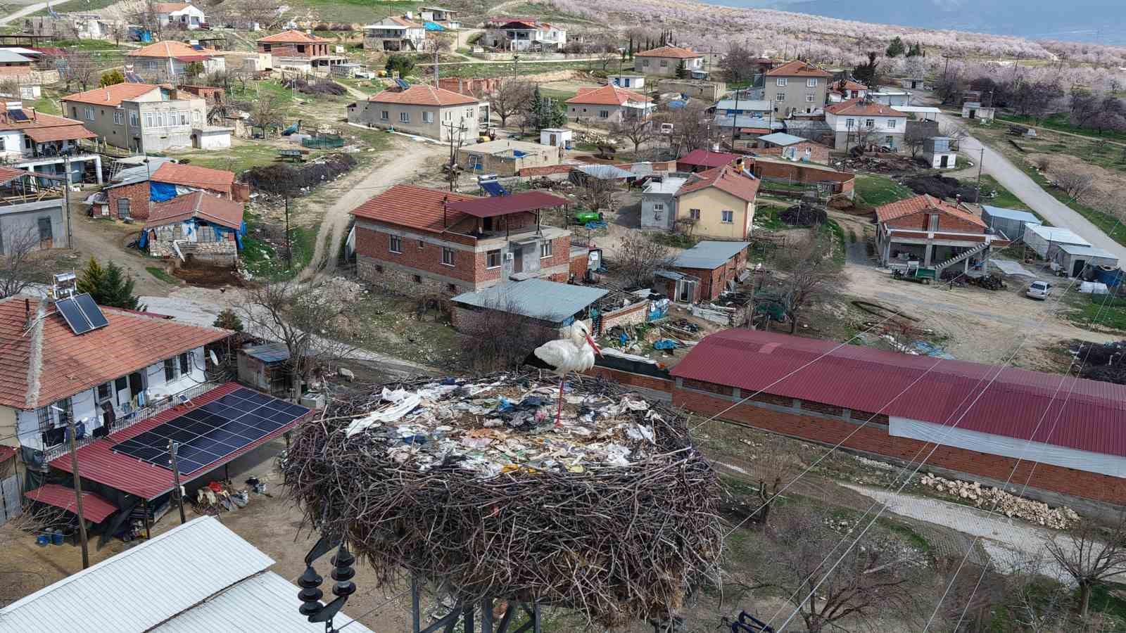Sadık misafir leylek 10 yıldır yolunu şaşırmıyor
