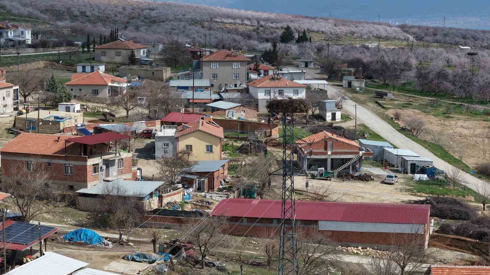 Sadık misafir leylek 10 yıldır yolunu şaşırmıyor
