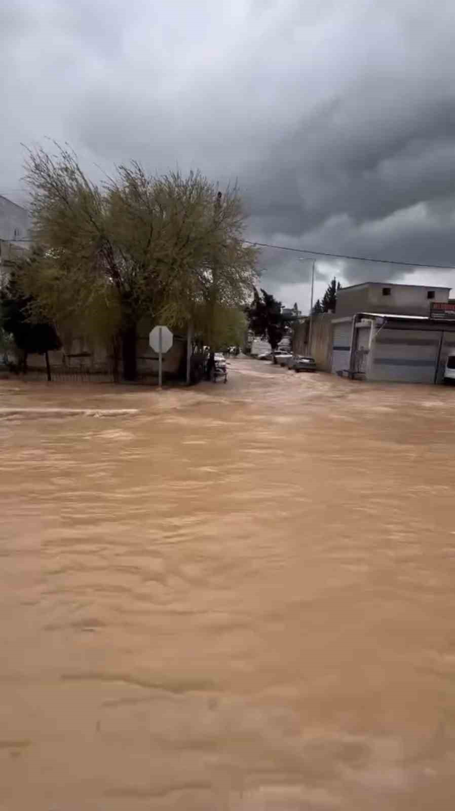 Sağanak yağış Mardin’de hayatı olumsuz etkiledi
