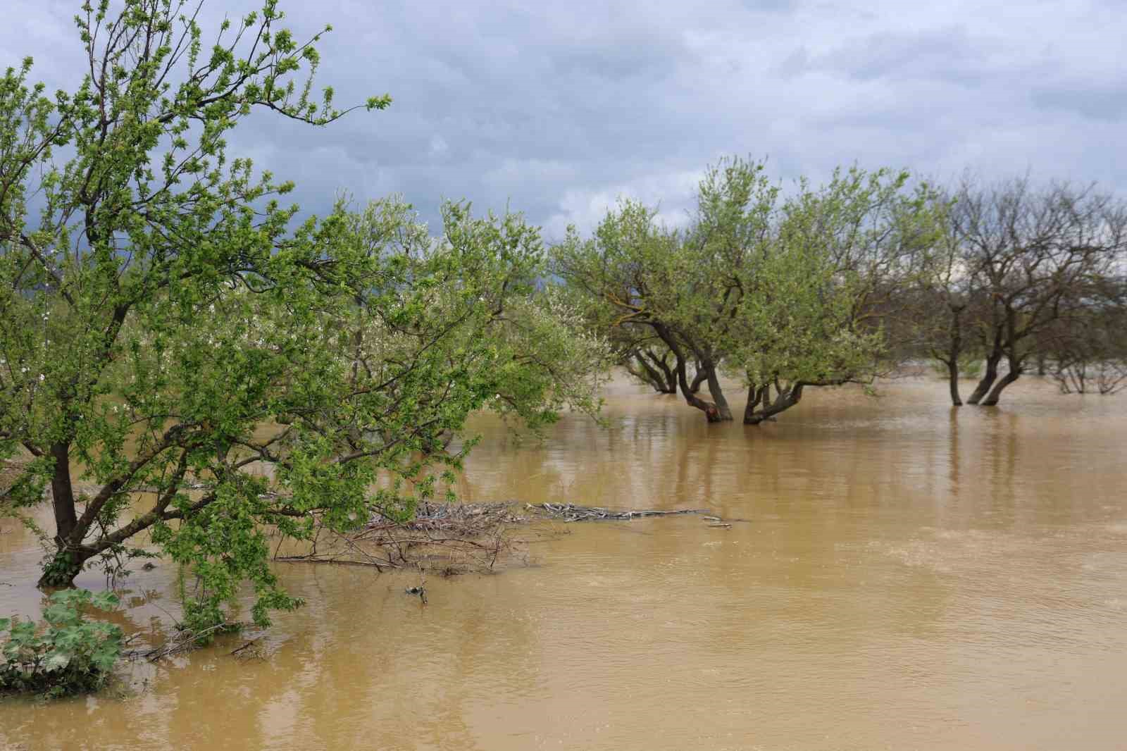 Sağanak yağış Menderes Nehri’ni taşırdı
