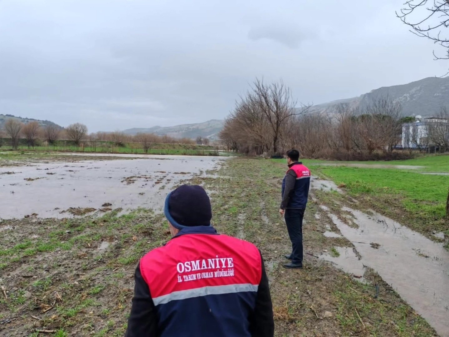 Sağanak yağmurdan sonra binlerce dönüm tarım arazisi sular altında kaldı
