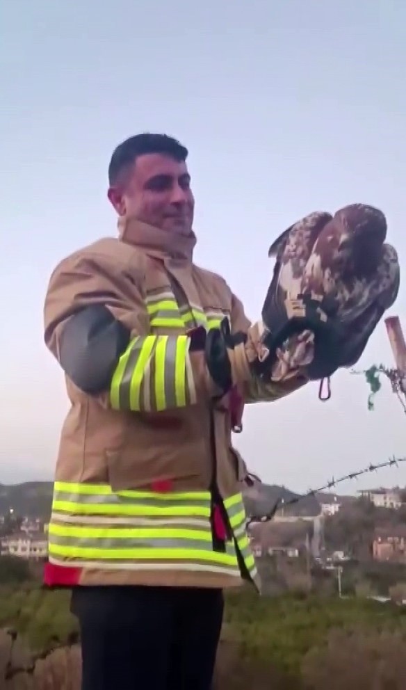 Şahini ölümden kurtarıp, özgürlüğe bıraktılar
