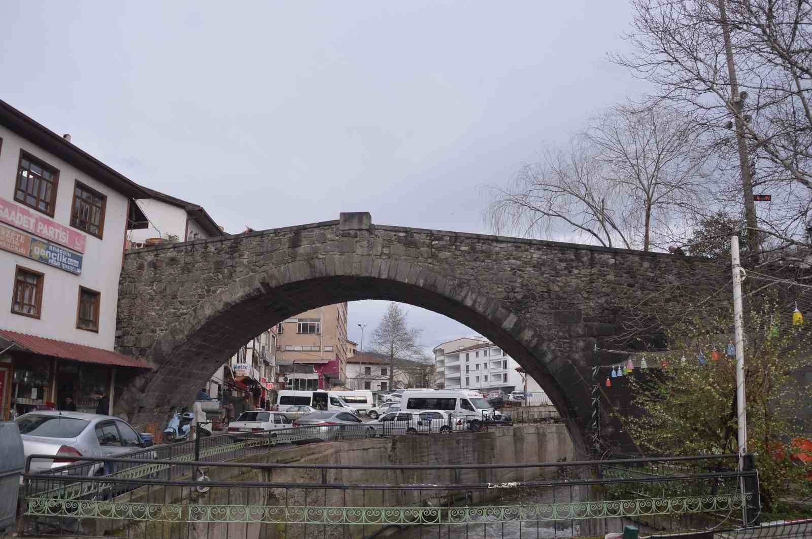 Şahin’in havadaki güvercin avı
