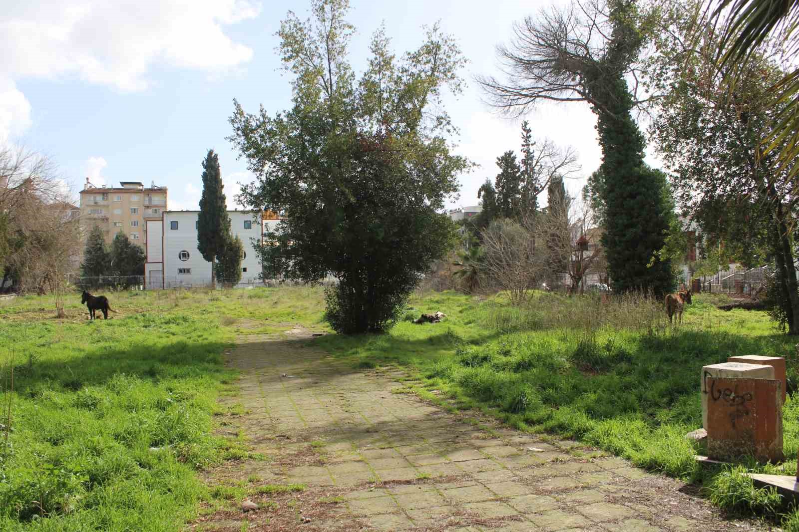 Sahipleri ölüme terk etti, resmi kurumlar topu birbirine attı
