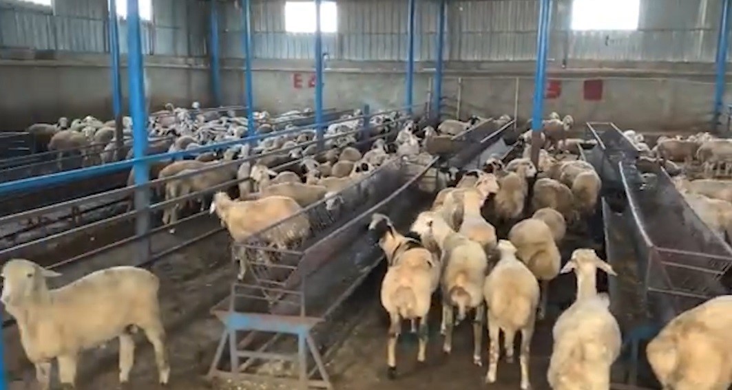 Sahte banka dekontlarıyla 14 milyon TL’lik vurgun
