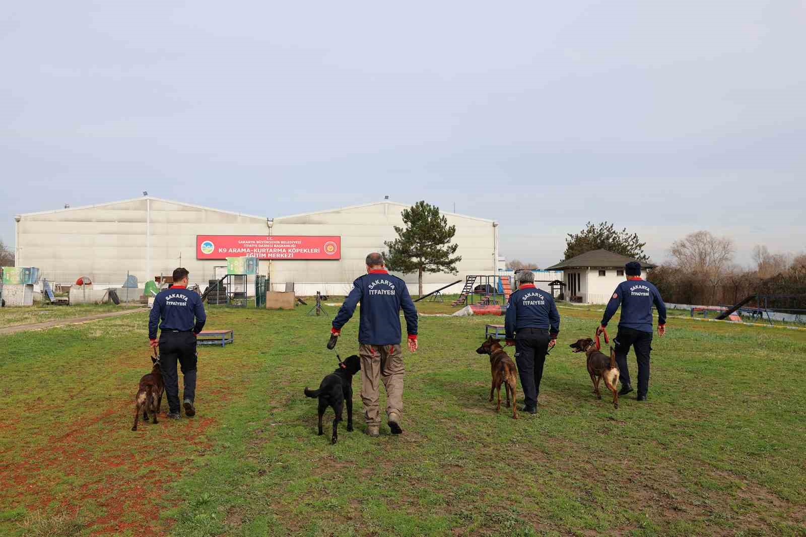 Sakarya itfaiyesinin eğitimli köpekleri operasyonlar için hazır kıta bekliyor
