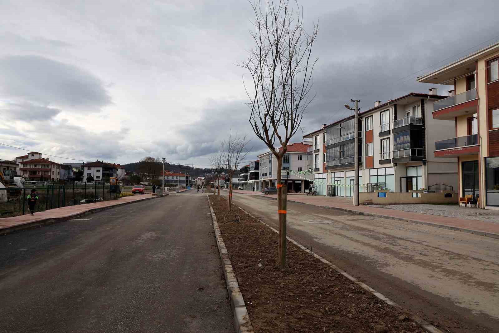 Sakarya’da 3 ayda 2 bin 500 ağaç dikildi
