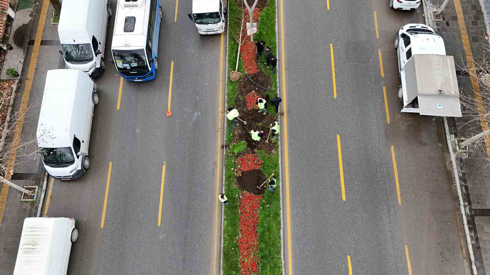 Sakarya’da 3 ayda 2 bin 500 ağaç dikildi
